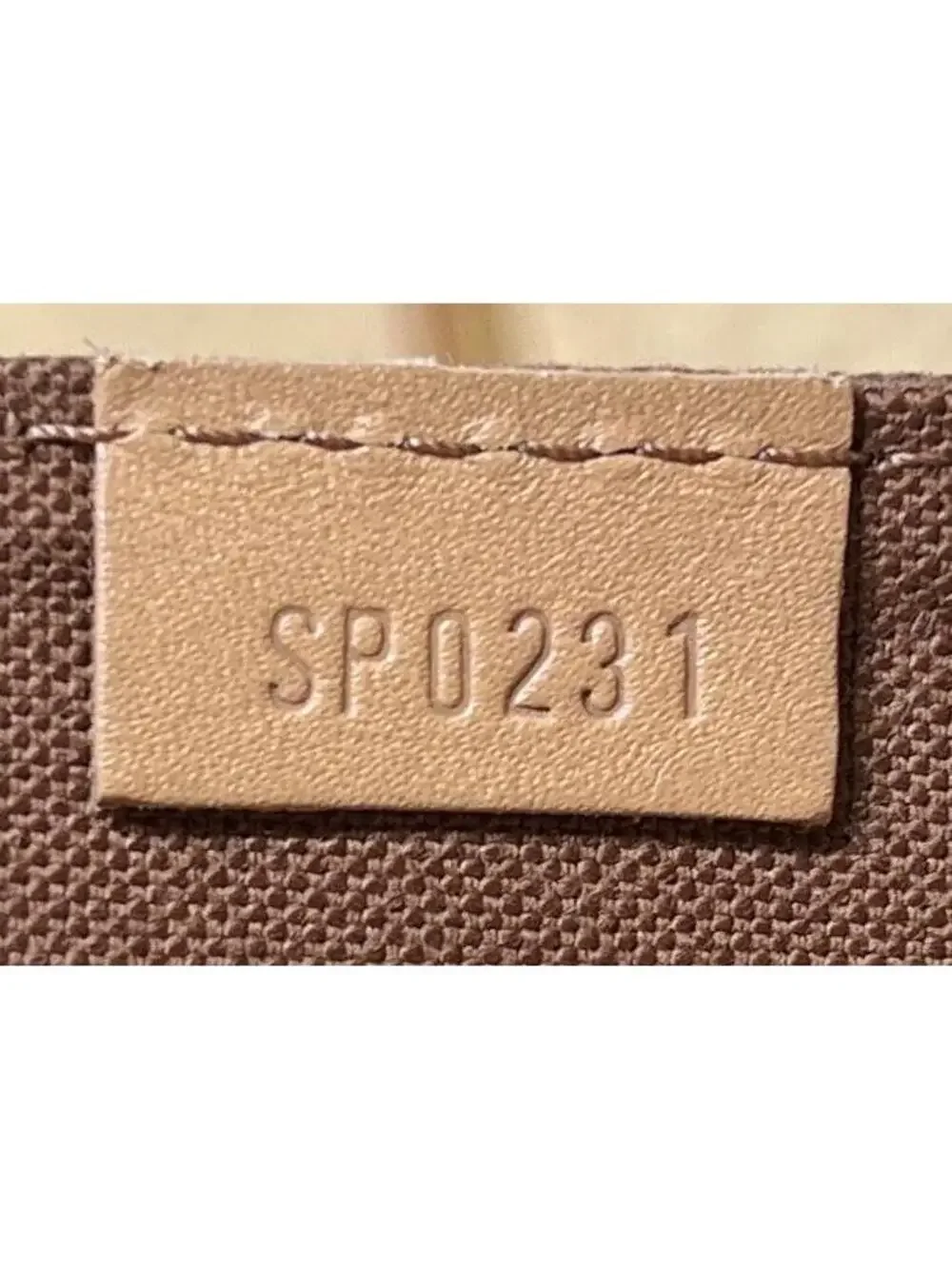 Louis Vuitton Petit Sac Plat Bag Canvas #237738L18B